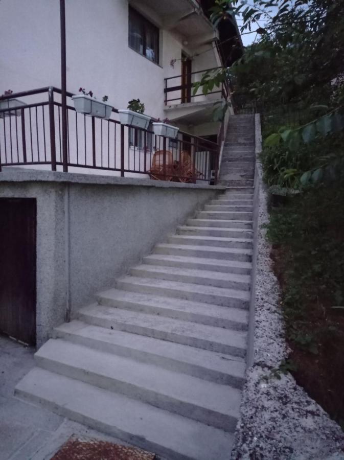Mujo * Sarajevo